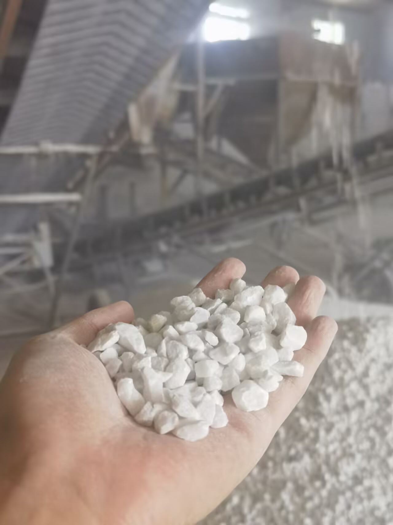 业内人士表示,未来几年雪花白石子将会面临市场大调整