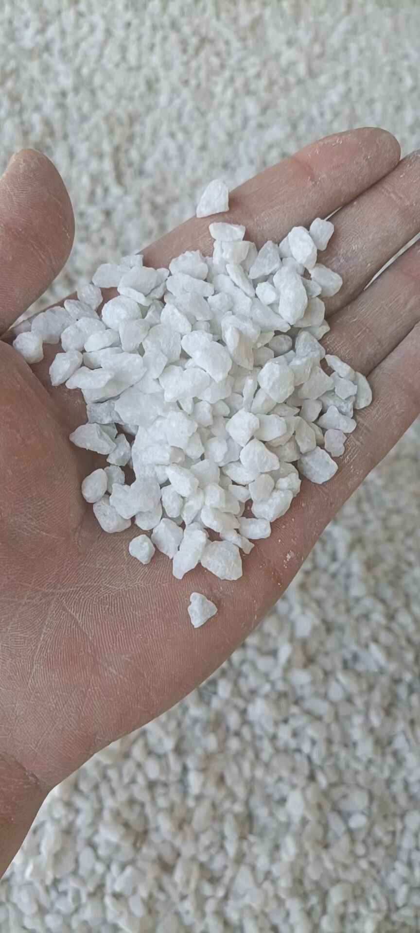 2025年山东雪花白石子的最新市场动态